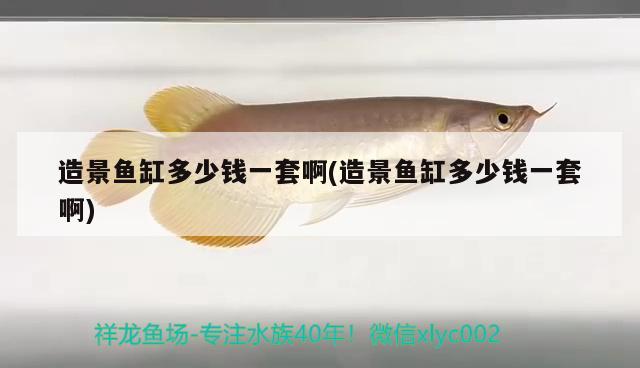 造景魚缸多少錢一套啊(造景魚缸多少錢一套啊) 黑云魚 第2張