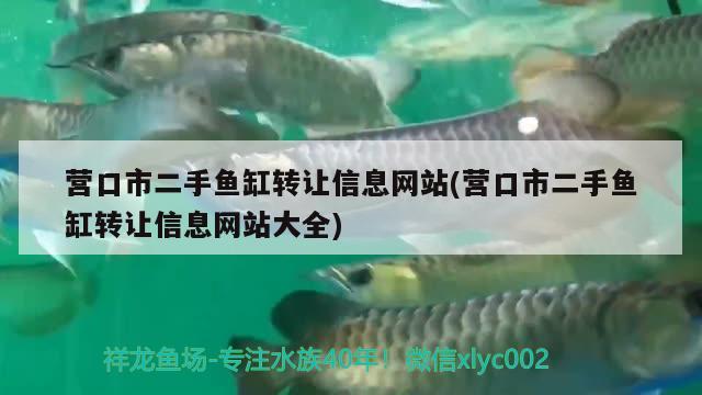 營口市二手魚缸轉(zhuǎn)讓信息網(wǎng)站(營口市二手魚缸轉(zhuǎn)讓信息網(wǎng)站大全)