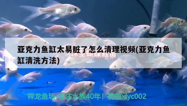 亞克力魚(yú)缸太易臟了怎么清理視頻(亞克力魚(yú)缸清洗方法)