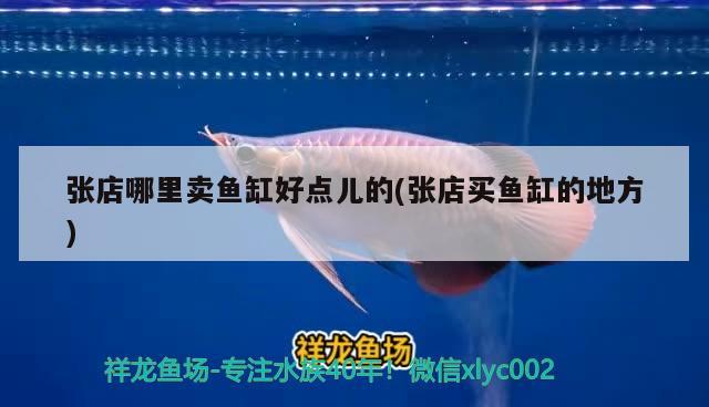 張店哪里賣魚缸好點兒的(張店買魚缸的地方) 委內(nèi)瑞拉奧里諾三間魚