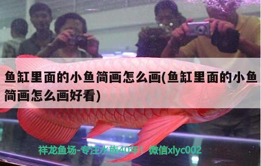 魚缸里面的小魚簡畫怎么畫(魚缸里面的小魚簡畫怎么畫好看)