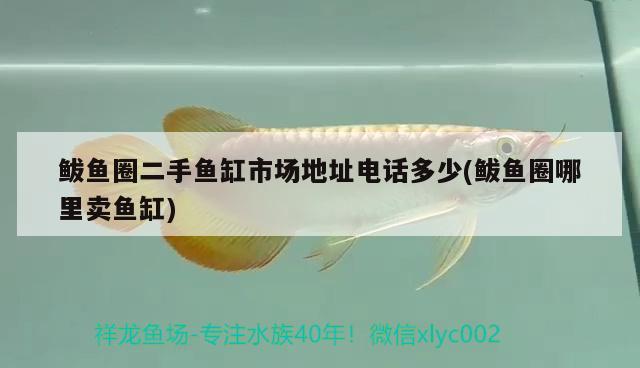 鲅魚(yú)圈二手魚(yú)缸市場(chǎng)地址電話多少(鲅魚(yú)圈哪里賣(mài)魚(yú)缸) 赤焰中國(guó)虎魚(yú)