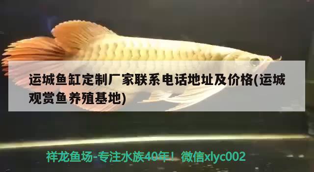 運城魚缸定制廠家聯(lián)系電話地址及價格(運城觀賞魚養(yǎng)殖基地)