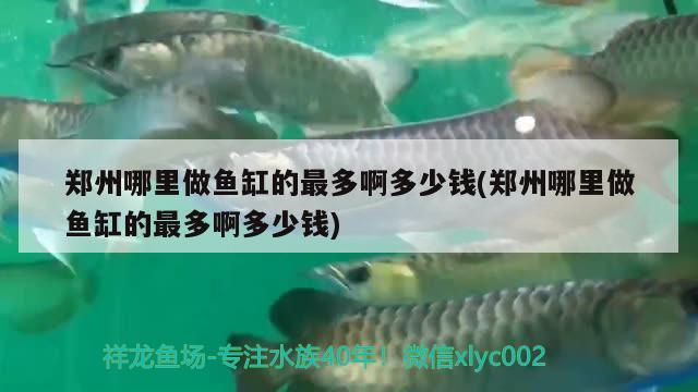 鄭州哪里做魚缸的最多啊多少錢(鄭州哪里做魚缸的最多啊多少錢)