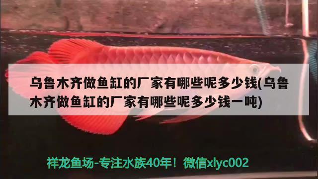 烏魯木齊做魚缸的廠家有哪些呢多少錢(烏魯木齊做魚缸的廠家有哪些呢多少錢一噸) 海象魚