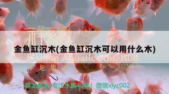 金魚缸沉木(金魚缸沉木可以用什么木) 玫瑰銀版魚