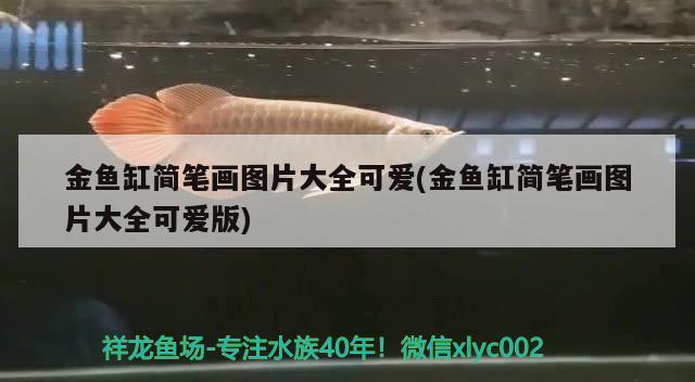 金魚缸簡筆畫圖片大全可愛(金魚缸簡筆畫圖片大全可愛版)