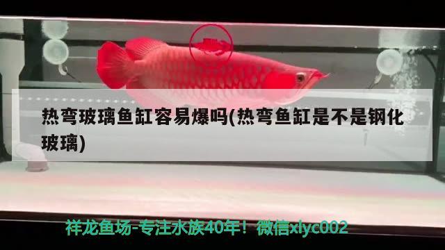 熱彎玻璃魚缸容易爆嗎(熱彎魚缸是不是鋼化玻璃) 黃金貓魚