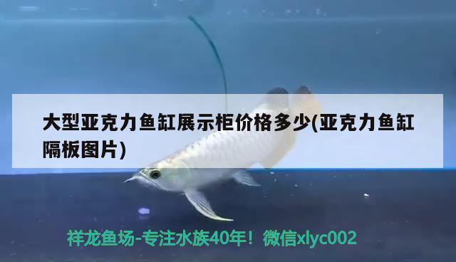 大型亞克力魚缸展示柜價(jià)格多少(亞克力魚缸隔板圖片)