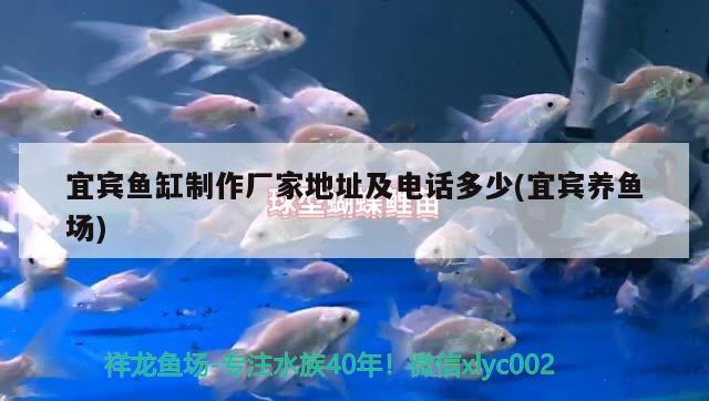 宜賓魚缸制作廠家地址及電話多少(宜賓養(yǎng)魚場)