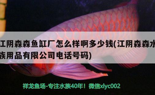 江陰森森魚缸廠怎么樣啊多少錢(江陰森森水族用品有限公司電話號(hào)碼)