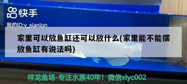 家里可以放魚缸還可以放什么(家里能不能擺放魚缸有說法嗎) 魚缸/水族箱