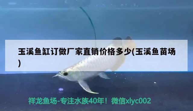 玉溪魚缸訂做廠家直銷價(jià)格多少(玉溪魚苗場)