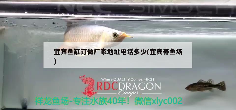 宜賓魚缸訂做廠家地址電話多少(宜賓養(yǎng)魚場) 可麗愛魚缸