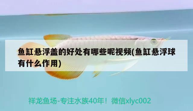 魚缸懸浮蓋的好處有哪些呢視頻(魚缸懸浮球有什么作用)