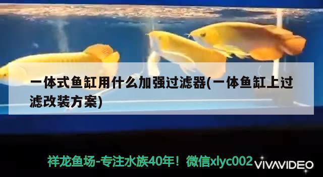 一體式魚缸用什么加強過濾器(一體魚缸上過濾改裝方案)