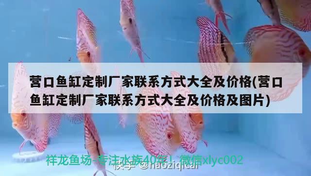 營(yíng)口魚(yú)缸定制廠家聯(lián)系方式大全及價(jià)格(營(yíng)口魚(yú)缸定制廠家聯(lián)系方式大全及價(jià)格及圖片) 七彩神仙魚(yú)