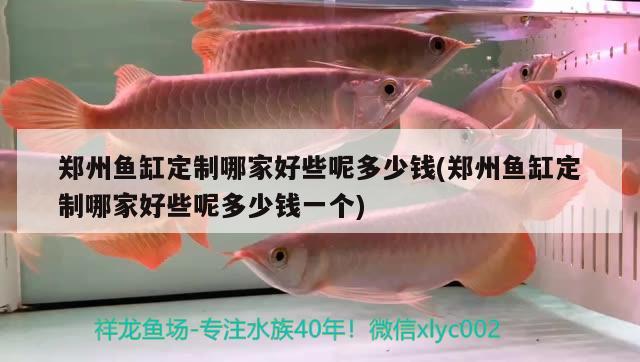 鄭州魚缸定制哪家好些呢多少錢(鄭州魚缸定制哪家好些呢多少錢一個(gè))