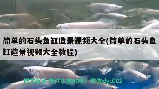 簡單的石頭魚缸造景視頻大全(簡單的石頭魚缸造景視頻大全教程)