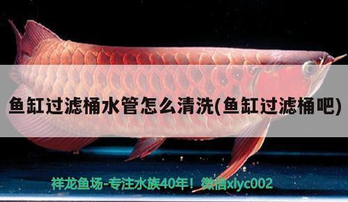 魚缸過濾桶水管怎么清洗(魚缸過濾桶吧)