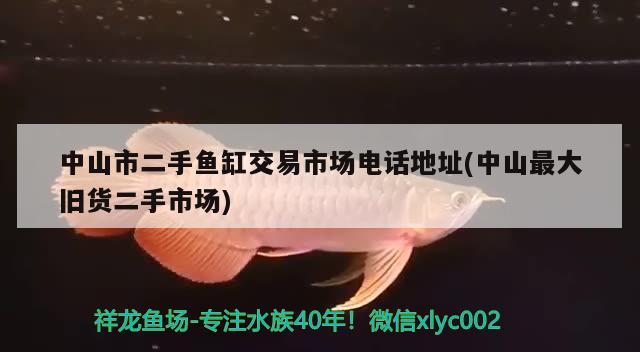 中山市二手魚缸交易市場電話地址(中山最大舊貨二手市場) 暹羅巨鯉 第2張