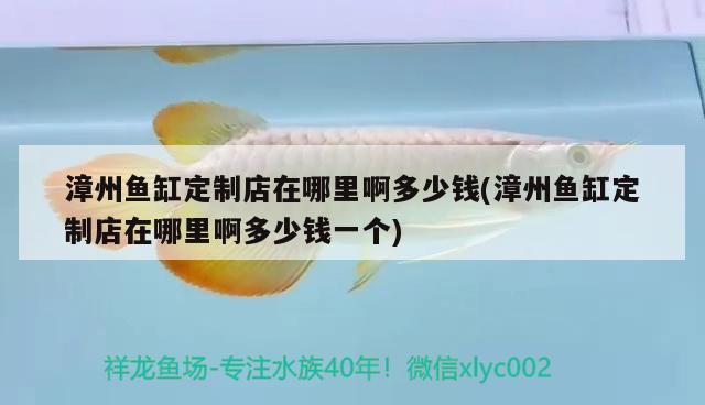 漳州魚缸定制店在哪里啊多少錢(漳州魚缸定制店在哪里啊多少錢一個) 黃金斑馬魚