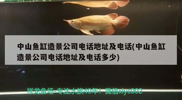 中山魚(yú)缸造景公司電話地址及電話(中山魚(yú)缸造景公司電話地址及電話多少) 白寫(xiě)錦鯉魚(yú)