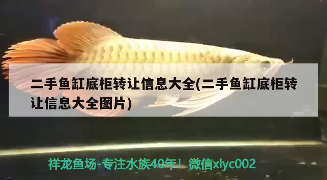 二手魚(yú)缸底柜轉(zhuǎn)讓信息大全(二手魚(yú)缸底柜轉(zhuǎn)讓信息大全圖片) 魚(yú)缸水質(zhì)穩(wěn)定劑 第2張