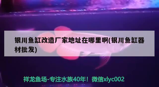 銀川魚缸改造廠家地址在哪里啊(銀川魚缸器材批發(fā)) 和尚魚