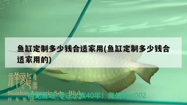 魚(yú)缸定制多少錢(qián)合適家用(魚(yú)缸定制多少錢(qián)合適家用的)