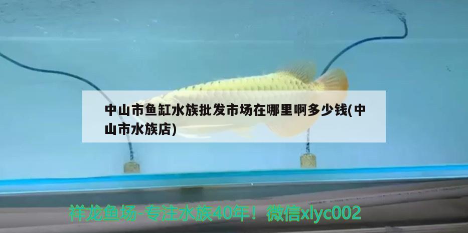 中山市魚缸水族批發(fā)市場在哪里啊多少錢(中山市水族店) 觀賞魚水族批發(fā)市場