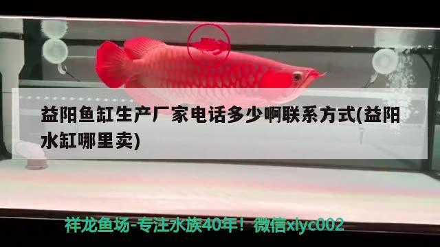 益陽魚缸生產(chǎn)廠家電話多少啊聯(lián)系方式(益陽水缸哪里賣)