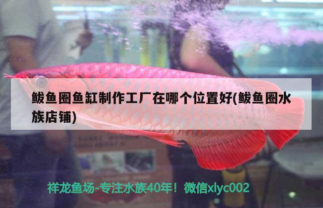 鲅魚圈魚缸制作工廠在哪個位置好(鲅魚圈水族店鋪)