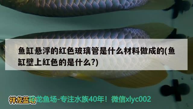 魚缸懸浮的紅色玻璃管是什么材料做成的(魚缸壁上紅色的是什么?)