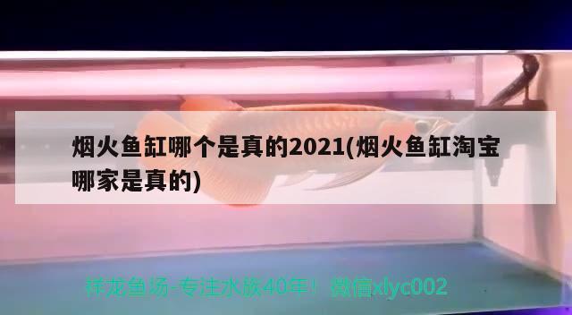 煙火魚缸哪個(gè)是真的2021(煙火魚缸淘寶哪家是真的)