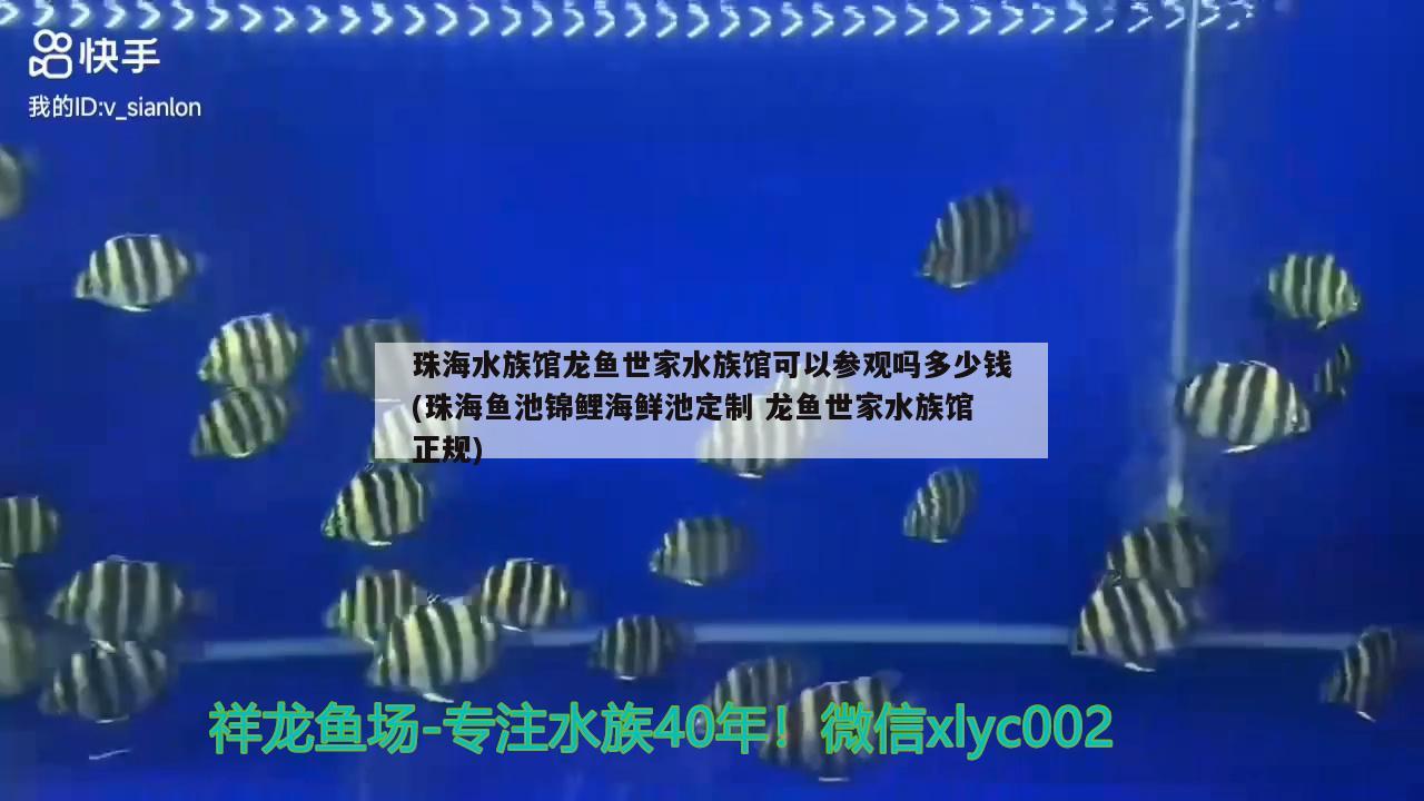 珠海水族館龍魚世家水族館可以參觀嗎多少錢(珠海魚池錦鯉海鮮池定制龍魚世家水族館正規(guī)) 黑金魟魚