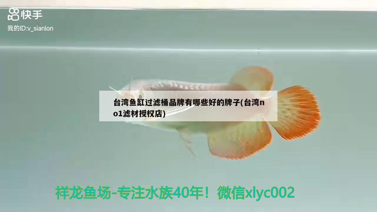 臺(tái)灣魚(yú)缸過(guò)濾桶品牌有哪些好的牌子(臺(tái)灣no1濾材授權(quán)店)