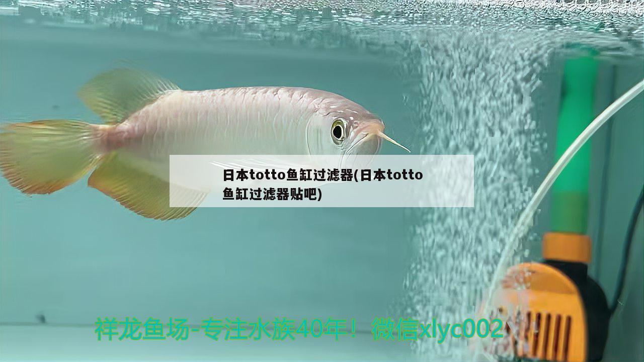 日本totto魚缸過濾器(日本totto魚缸過濾器貼吧) 觀賞魚魚苗