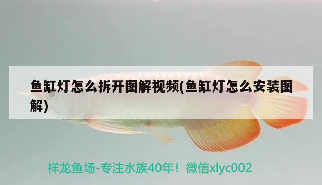 魚缸燈怎么拆開圖解視頻(魚缸燈怎么安裝圖解) 黃金鴨嘴魚