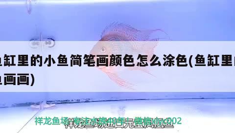 魚缸里的小魚簡筆畫顏色怎么涂色(魚缸里的魚畫畫) 溫控設(shè)備