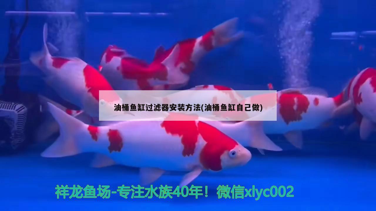 油桶魚缸過(guò)濾器安裝方法(油桶魚缸自己做)