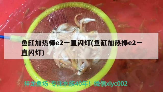 魚缸加熱棒e2一直閃燈(魚缸加熱棒e2一直閃燈)