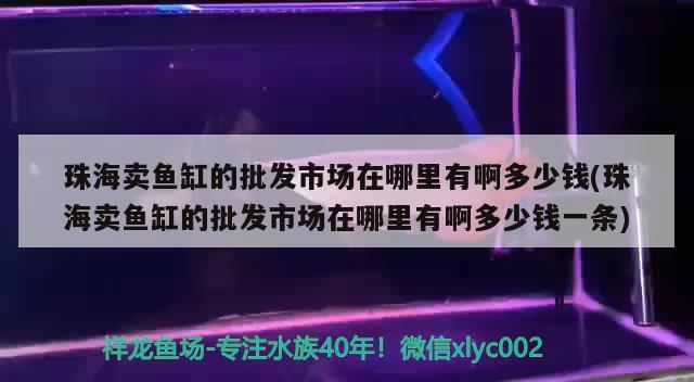 珠海賣魚缸的批發(fā)市場在哪里有啊多少錢(珠海賣魚缸的批發(fā)市場在哪里有啊多少錢一條) 黑影道人魚