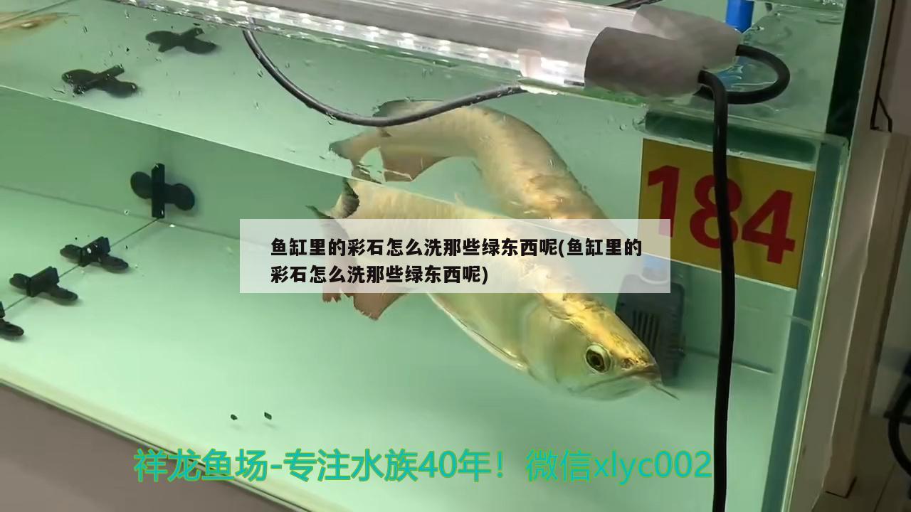 魚缸里的彩石怎么洗那些綠東西呢(魚缸里的彩石怎么洗那些綠東西呢)