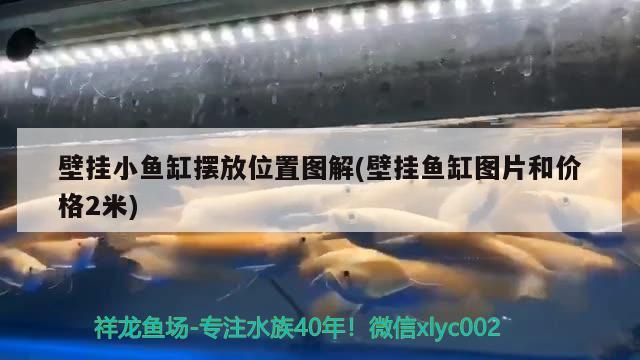 壁掛小魚缸擺放位置圖解(壁掛魚缸圖片和價格2米)