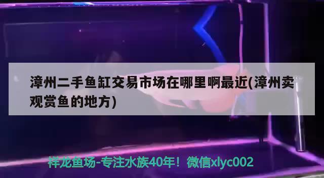 漳州二手魚缸交易市場在哪里啊最近(漳州賣觀賞魚的地方) 水族世界