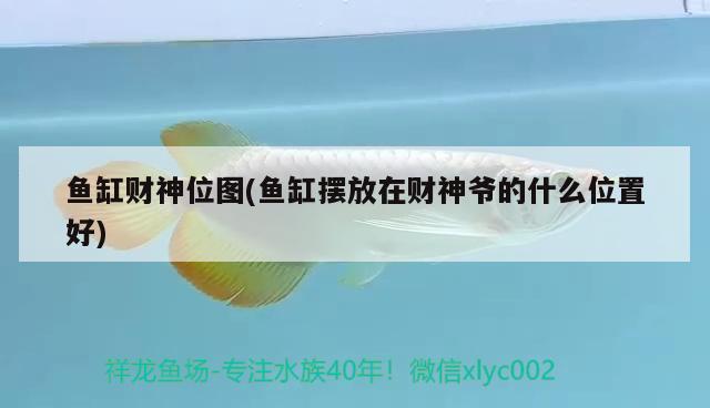 魚缸財神位圖(魚缸擺放在財神爺?shù)氖裁次恢煤?