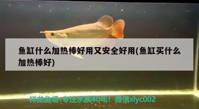 魚缸什么加熱棒好用又安全好用(魚缸買什么加熱棒好)