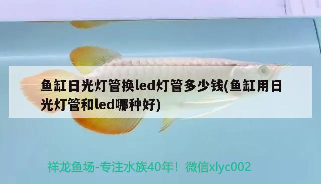 魚缸日光燈管換led燈管多少錢(魚缸用日光燈管和led哪種好)