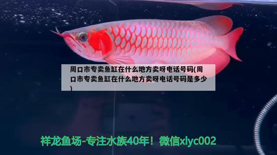 周口市專賣魚缸在什么地方賣呀電話號碼(周口市專賣魚缸在什么地方賣呀電話號碼是多少)